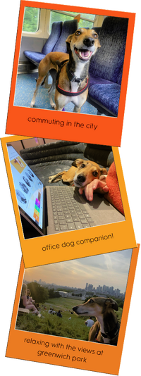 tuva, dog pop story image