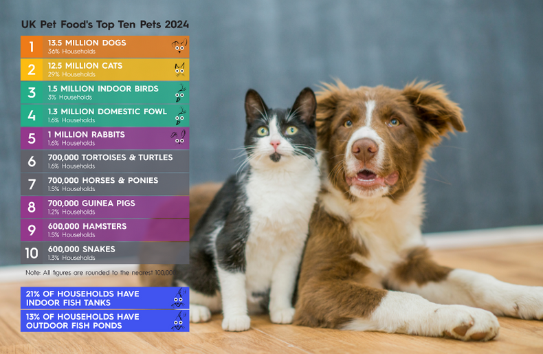 Pet Population Data