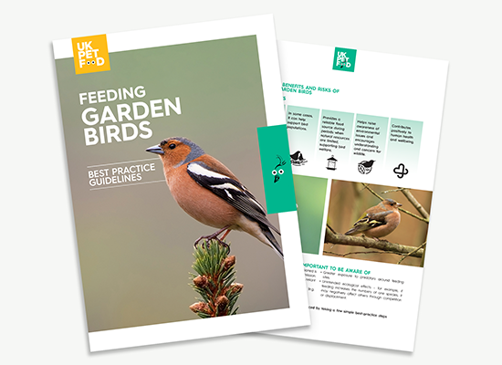 wild bird feeding guidlines 2026.png