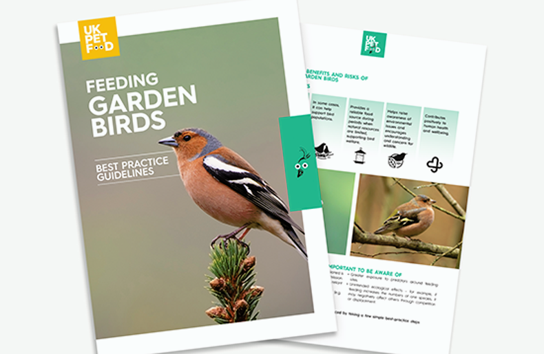 Your guide to feeding garden birds