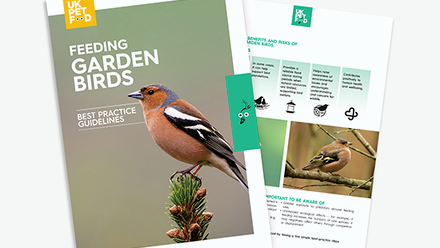 wild bird feeding guidlines 2026.png