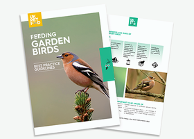 wild bird feeding guidlines 2026.png