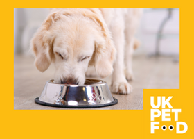 Yellow frame with logo_IMAGE BUTTON not text_dog eating.png