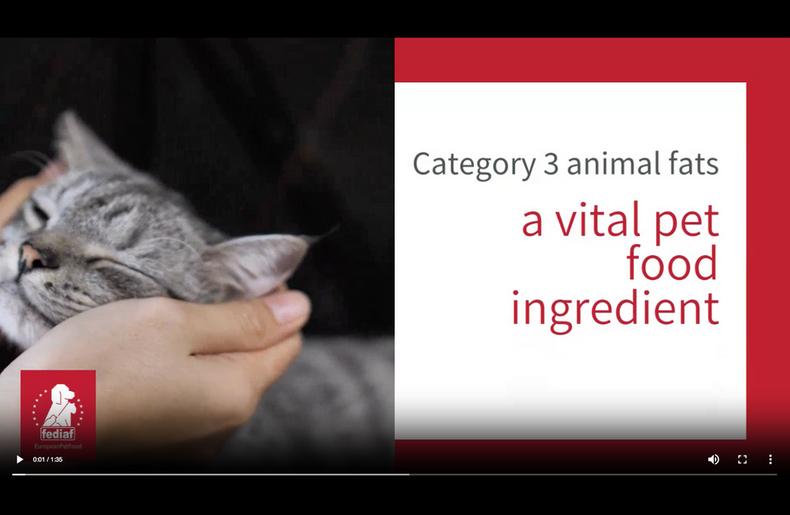 Category 3 animal fats Video