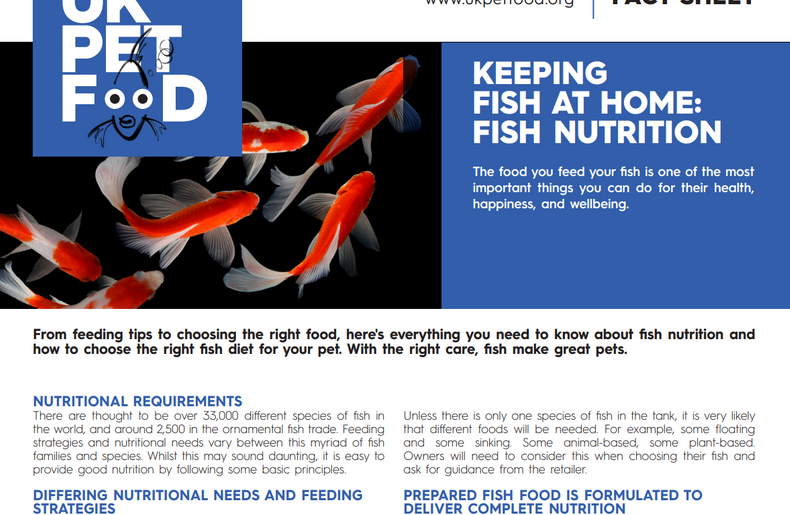 Fish Nutrition Factsheet