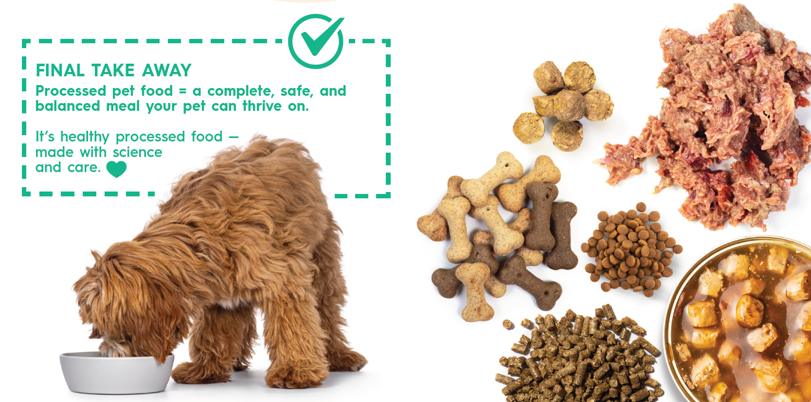 Different pet food formats infographic