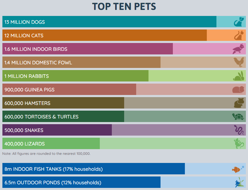 top ten pets 2022.png