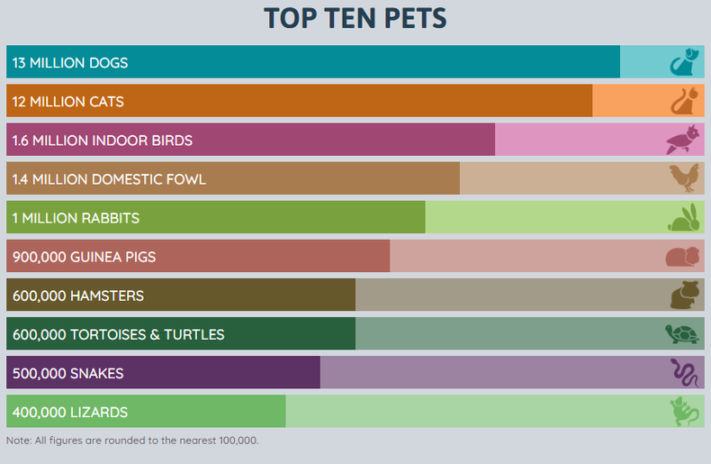 Statistics UK Pet Food