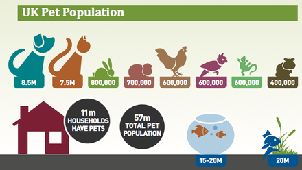 UK Pet Population 2016.png