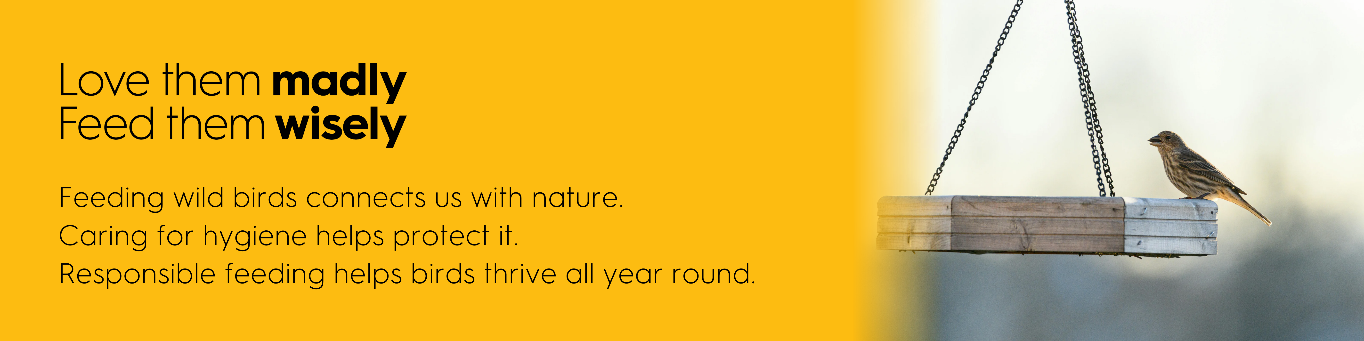 Wild Bird Hygiene Banner LTMFTW.png