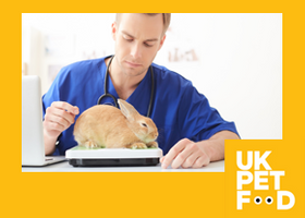Yellow frame with logo_IMAGE BUTTON not text_Rabbit on scales.png