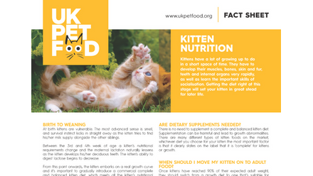 kitten nutrition fs half.png 1