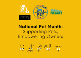 NPM article image.png