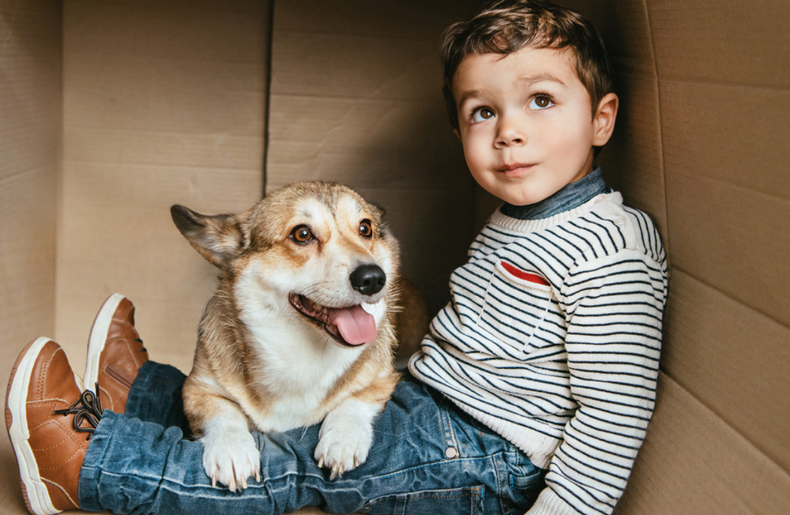Sustainability & recycling tips for pet owners