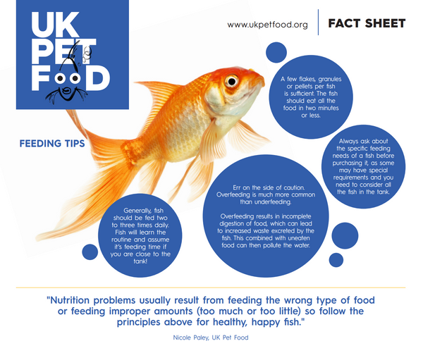 fish factsheet page 2 image.png