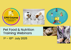 Course Promo 2025  Image