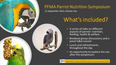 PFMA Parrot Symposium, 21 September 2022 – Chester Zoo | UK Pet Food