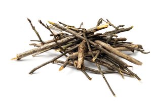 SMALL MAMMAL FORMATS_Roots+Stems.png