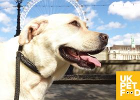 Website box images (9).png