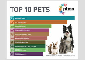 top_ten_pets_2019.jpg