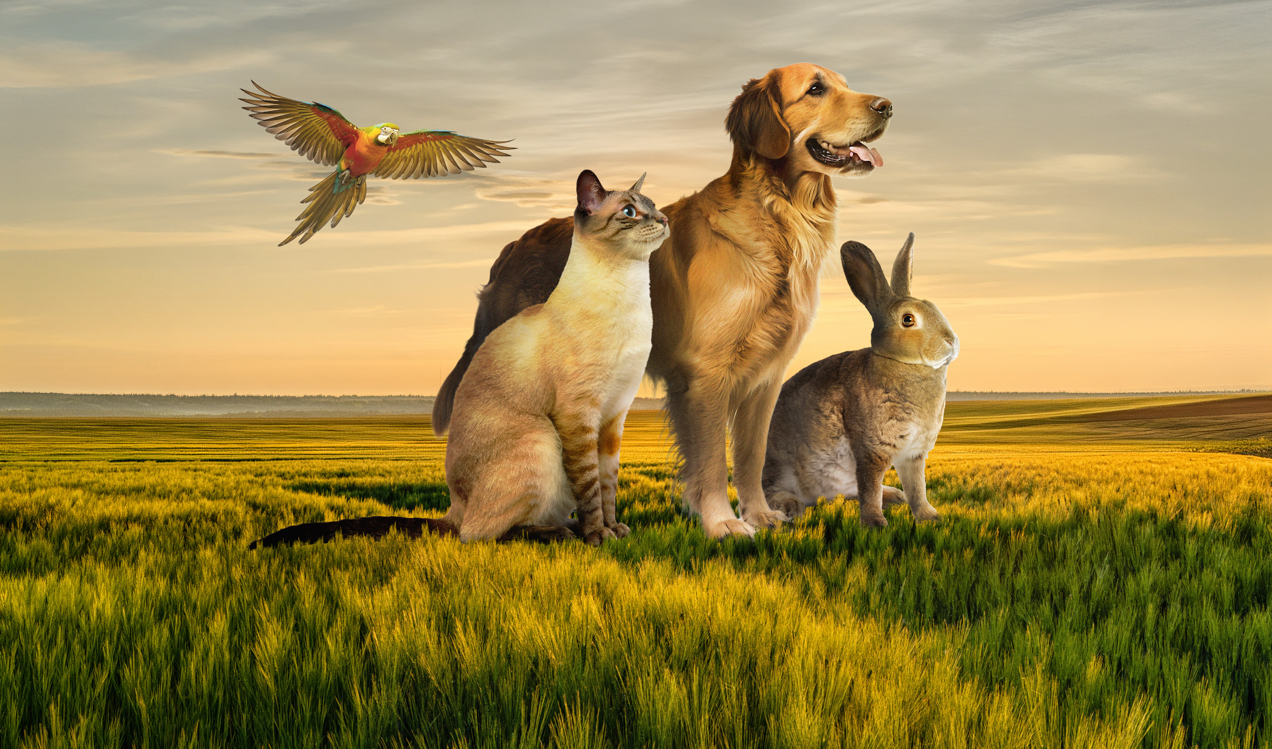 postcard images_Page_1_Image_0003.jpg