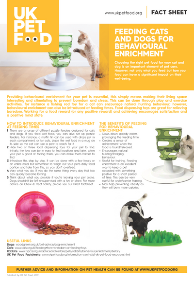 Canine Enrichment, What is it? Why is it important?