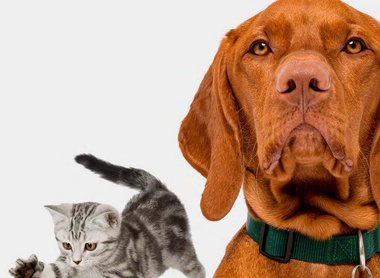 Front Page Annual Report 2025