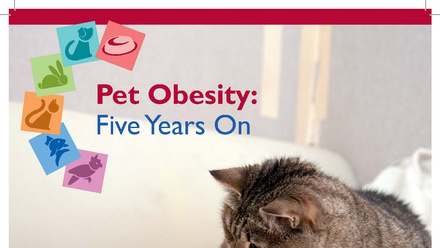 Pet Obesity Report - Five Years On 2014
