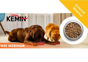 Website box images.jpg