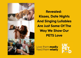 Revealed Article Image.png