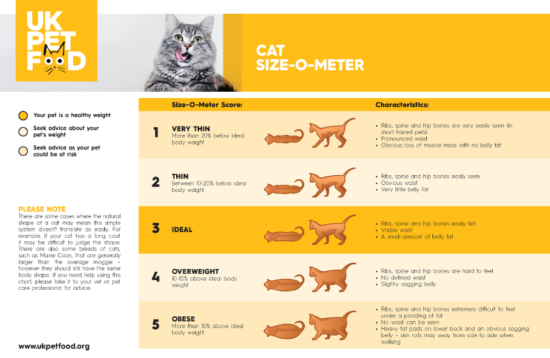 Cat Size-O-Meter