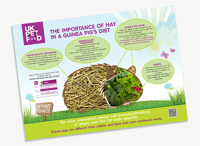 Importance of hay in a Guinea Pig's diet - Poster.pdf | UK Pet Food
