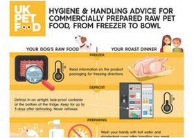 raw handling poster half.png