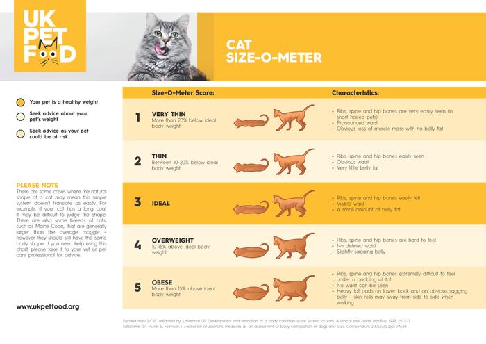 Cat Size-O-Meter | UK Pet Food