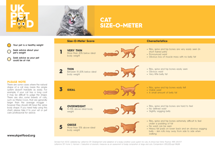 CAT scale  So Many Miles