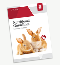 Rabbit Welfare Guidelines Image.png