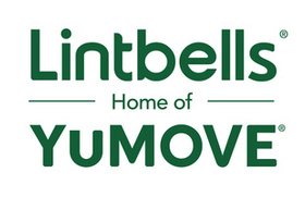 Logo of Lintbells Limited