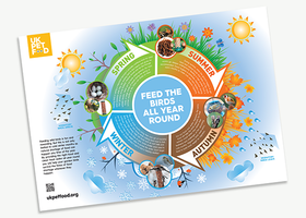 UKPF Poster - Feeding wild birds throughout the year.png