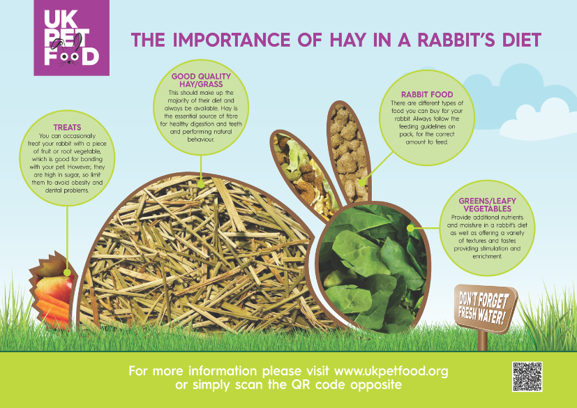 uk pet food importance of hay -rabbit.png