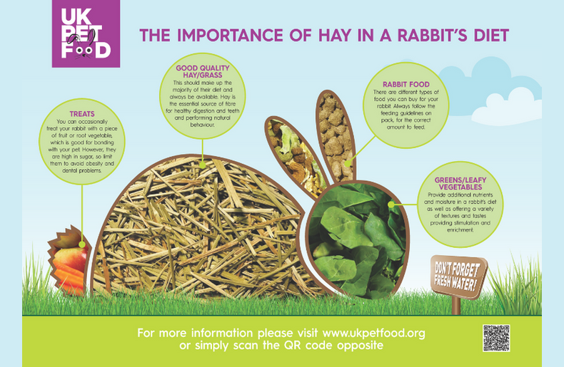 The Importance of Hay Poster