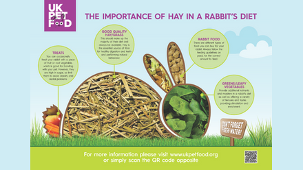 uk pet food importance of hay -rabbit.png