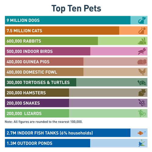 top ten pets.png