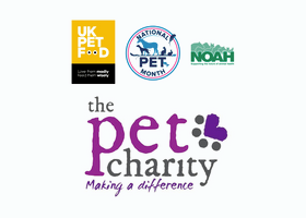 NPM article image (1).png