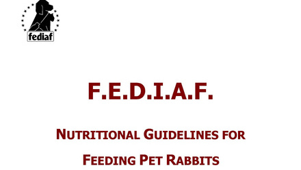 Rabbit_Guidelines31-5-2013_Page_01.jpg