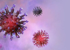 The virus of covid-19.jpg