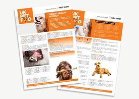 UKPF Fact Sheet - Dental health - Dogs.png