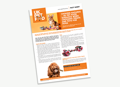 Choking Hazards For Dogs Pdf Photo Inspiration