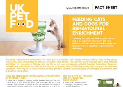 Cat Food Puzzles: How They Benefit Your Cat