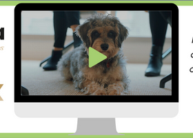 press release image.png