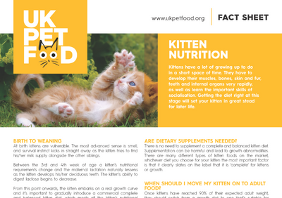 kitten factsheet half.png